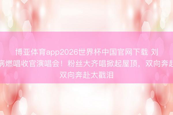 博亚体育app2026世界杯中国官网下载 刘宇宁带病燃唱收官演唱会！粉丝大齐唱掀起屋顶，双向奔赴太戳泪