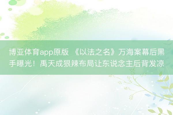 博亚体育app原版 《以法之名》万海案幕后黑手曝光！禹天成狠辣布局让东说念主后背发凉