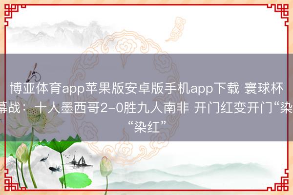 博亚体育app苹果版安卓版手机app下载 寰球杯揭幕战：十人墨西哥2-0胜九人南非 开门红变开门“染红”