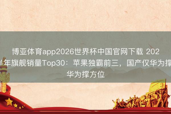 博亚体育app2026世界杯中国官网下载 2026上半年旗舰销量Top30：苹果独霸前三，国产仅华为撑方位