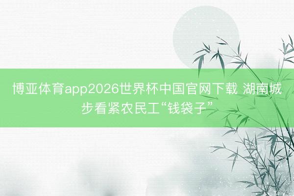 博亚体育app2026世界杯中国官网下载 湖南城步看紧农民工“钱袋子”