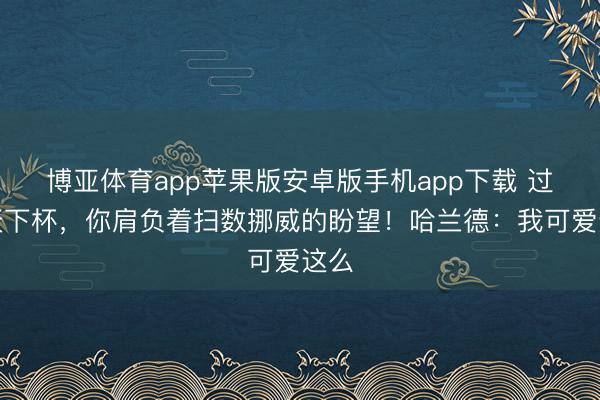 博亚体育app苹果版安卓版手机app下载 过问天下杯，你肩负着扫数挪威的盼望！哈兰德：我可爱这么