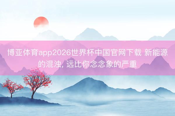 博亚体育app2026世界杯中国官网下载 新能源的混浊, 远比你念念象的严重